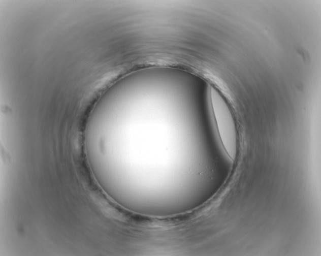 X0000091360305200708101059
