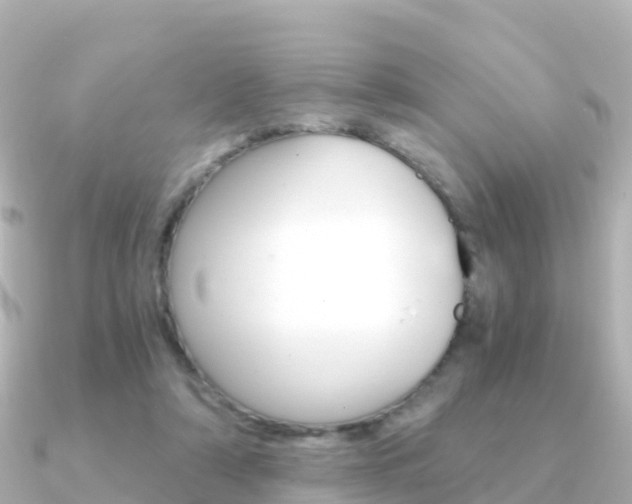 X0000091360306200708101059