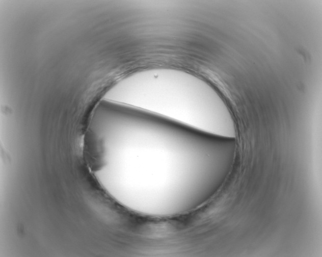 X0000091360307200708101059