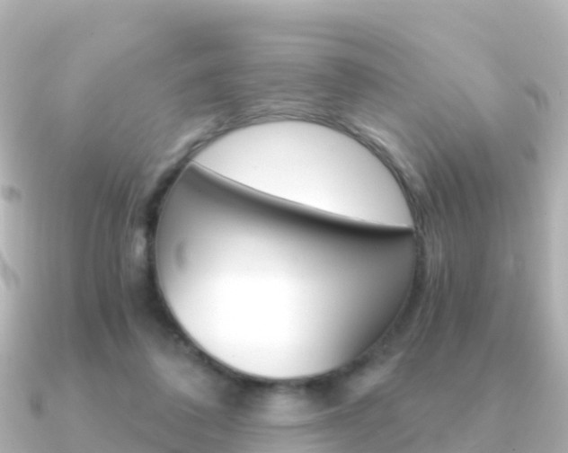 X0000091360308200708101059