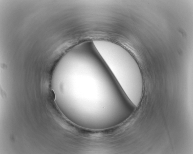 X0000091360309200708101059