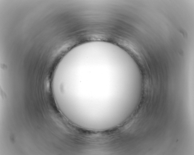X0000091360310200708101059