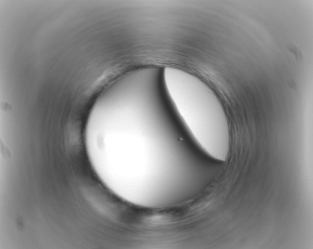 X0000091360312200708101059