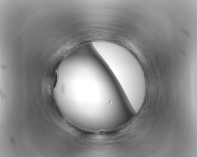 X0000091360313200708101059