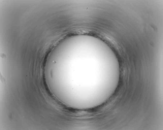 X0000091360315200708101059