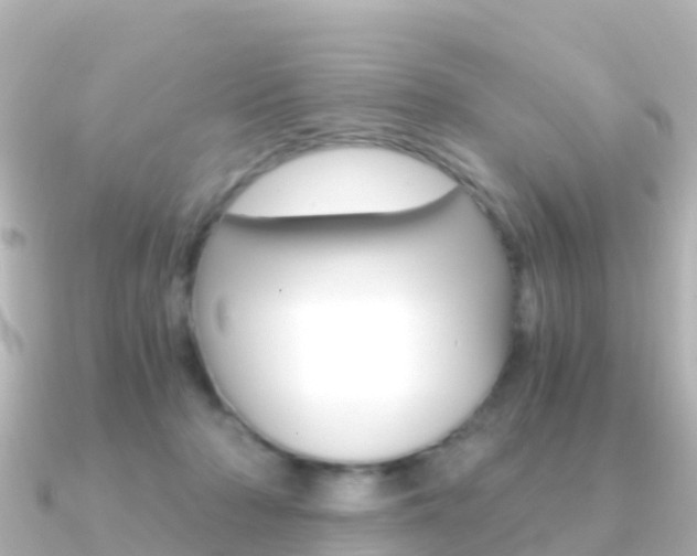 X0000091360318200708101059