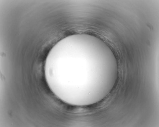 X0000091360319200708101059