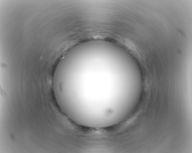 X0000091360321200708101059