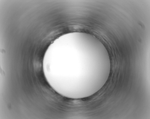 X0000091360324200708101059