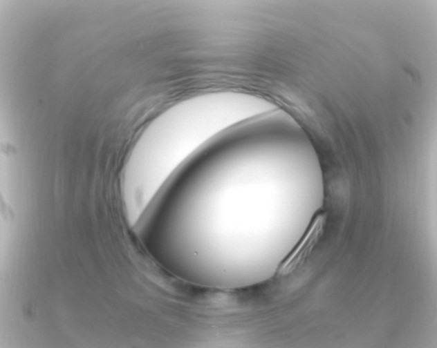 X0000091360325200708101059