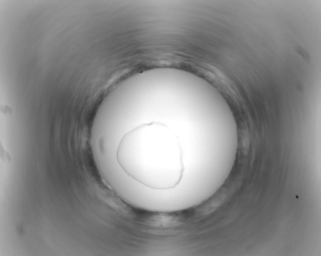 X0000091360326200708101059