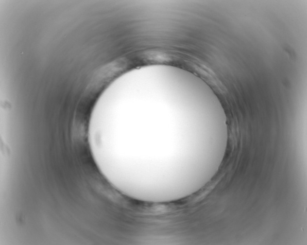 X0000091360330200708101059