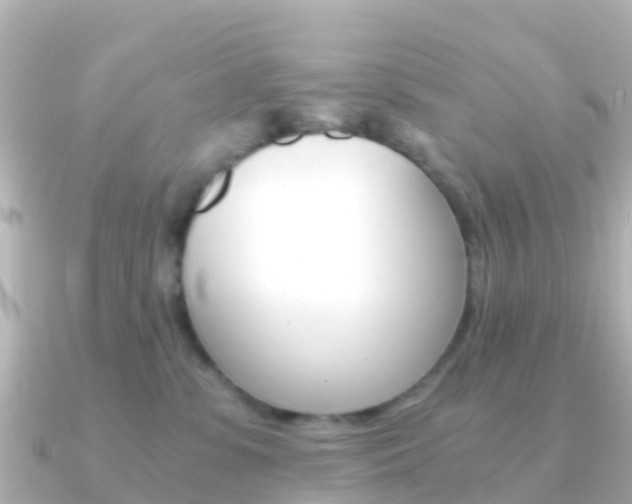 X0000091360331200708101059