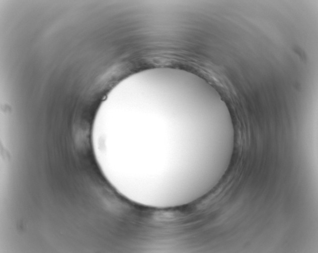 X0000091360332200708101059