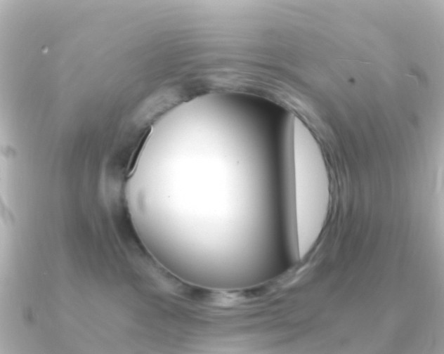 X0000091360333200708101059