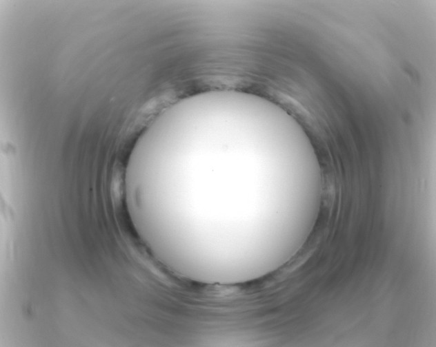 X0000091360334200708101059