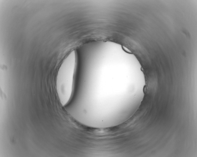 X0000091360335200708101059
