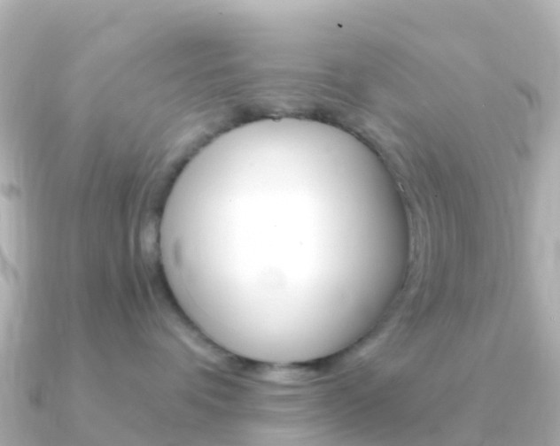 X0000091360336200708101059