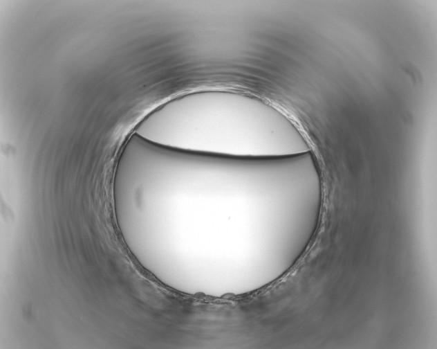 X0000091360337200708101058