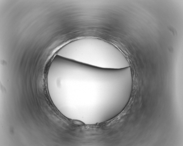 X0000091360338200708101058
