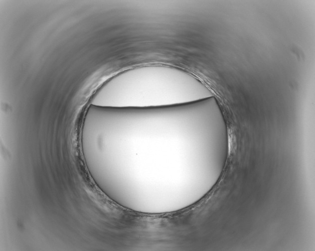 X0000091360339200708101058