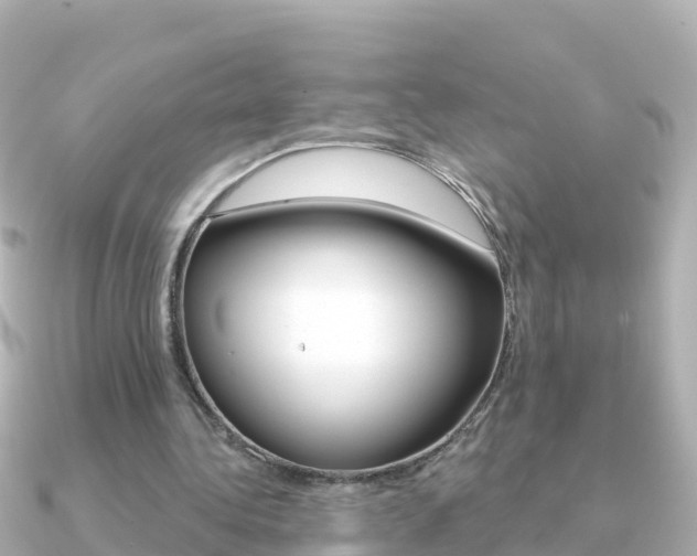X0000091360340200708101058