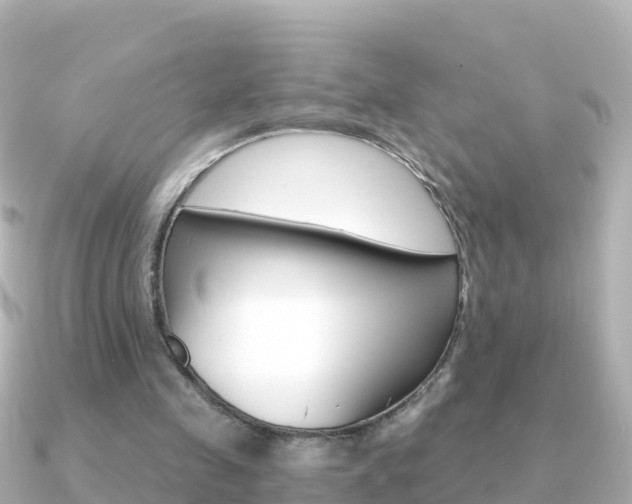 X0000091360341200708101058