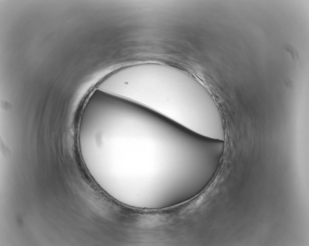 X0000091360342200708101058