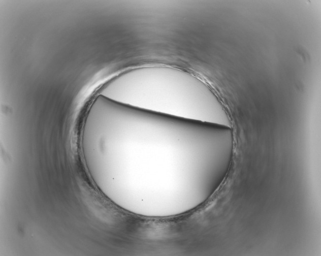 X0000091360343200708101058