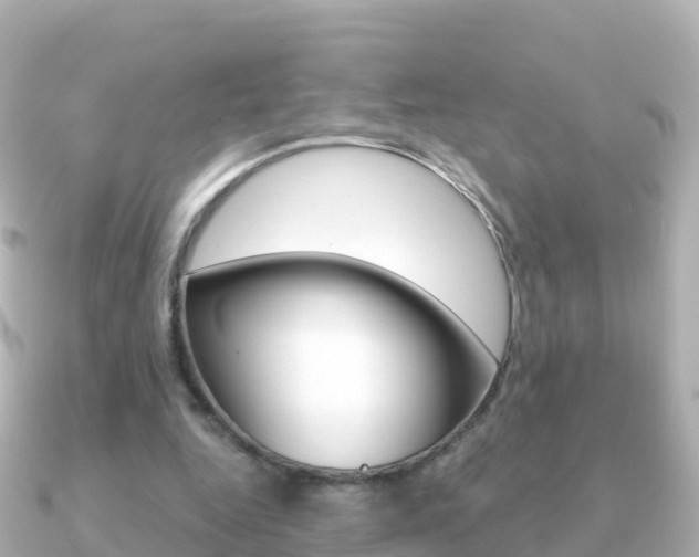 X0000091360344200708101058