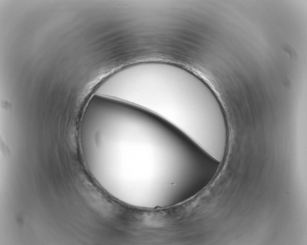 X0000091360345200708101058