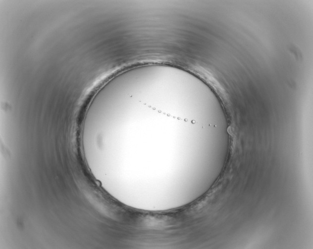 X0000091360346200708101058