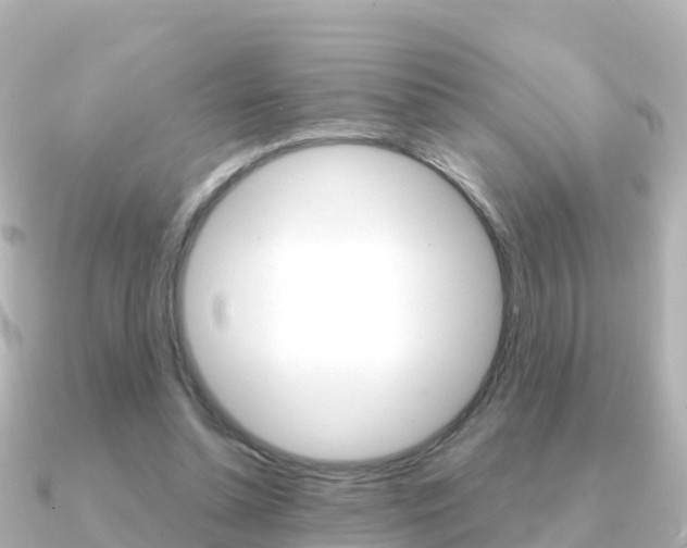 X0000091360348200708101058