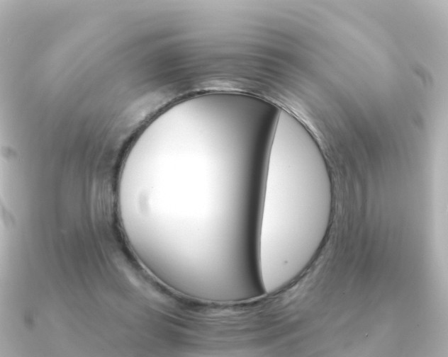 X0000091360349200708101058