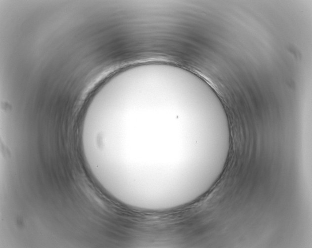 X0000091360350200708101058