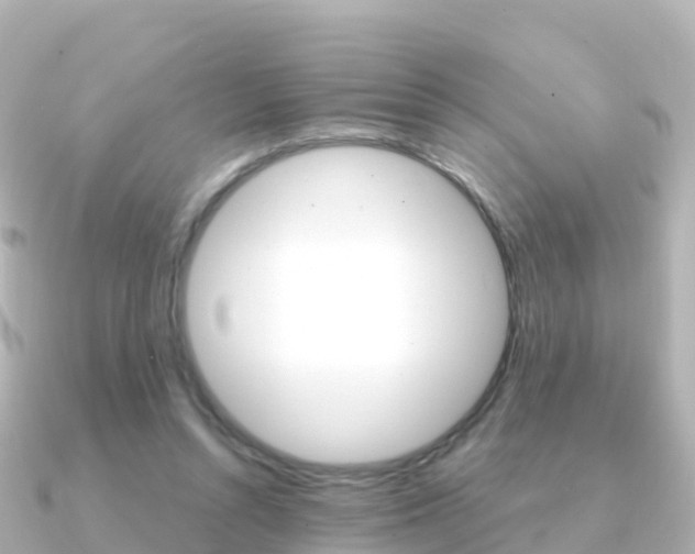 X0000091360352200708101059