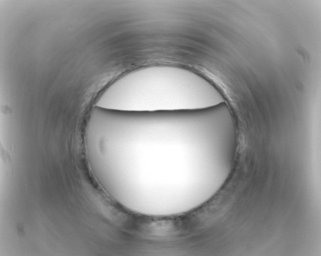 X0000091360353200708101059