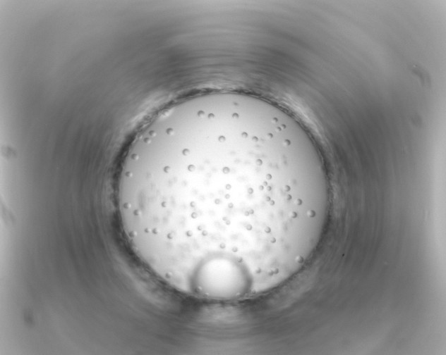 X0000091360354200708101059