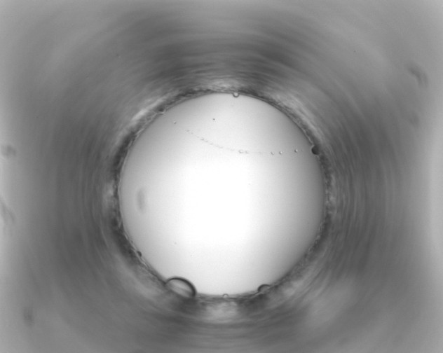 X0000091360355200708101059