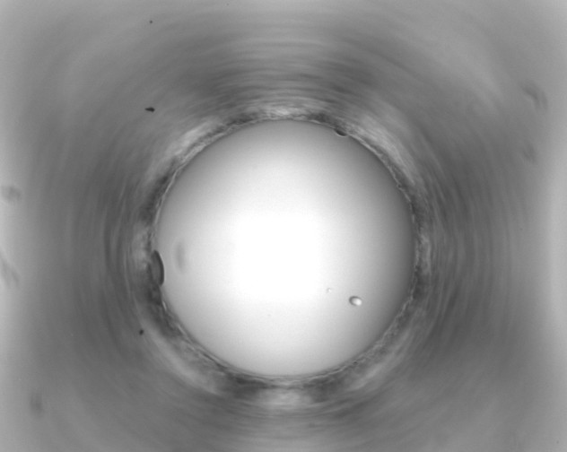 X0000091360356200708101059