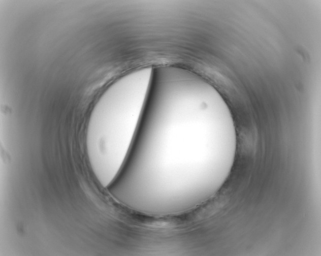 X0000091360358200708101059