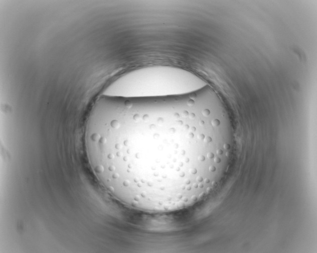 X0000091360359200708101059