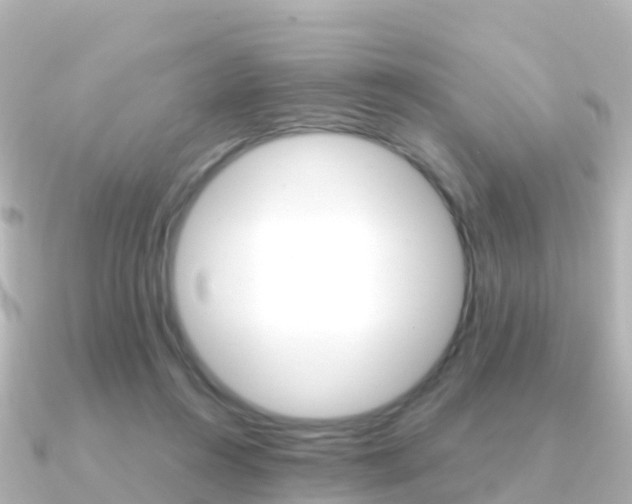 X0000091360360200708101059