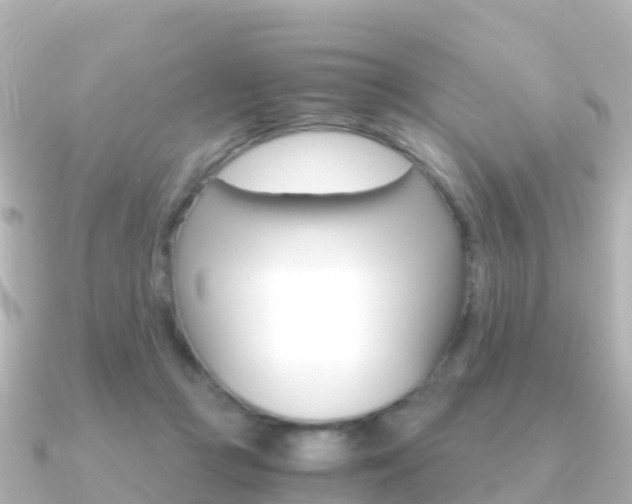 X0000091360361200708101059