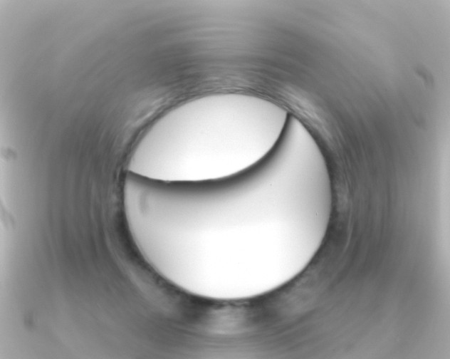 X0000091360362200708101059