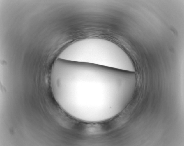 X0000091360363200708101059
