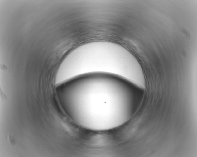 X0000091360364200708101059
