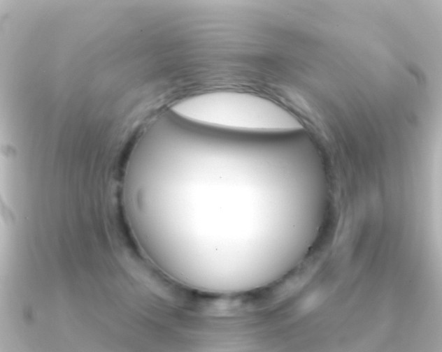 X0000091360366200708101059