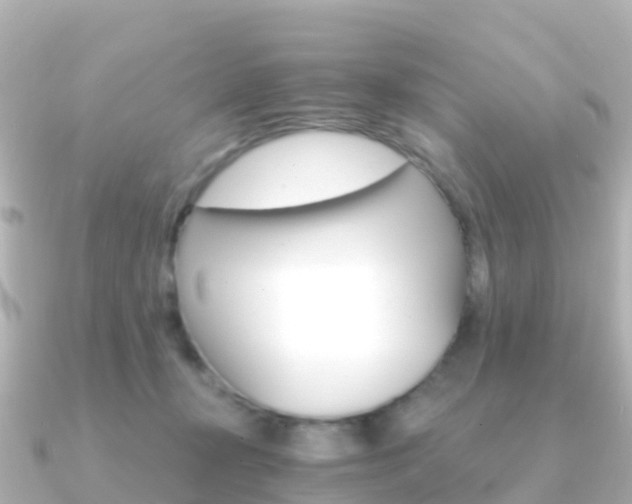 X0000091360367200708101059