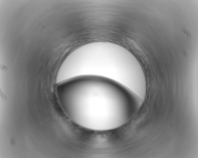 X0000091360368200708101059